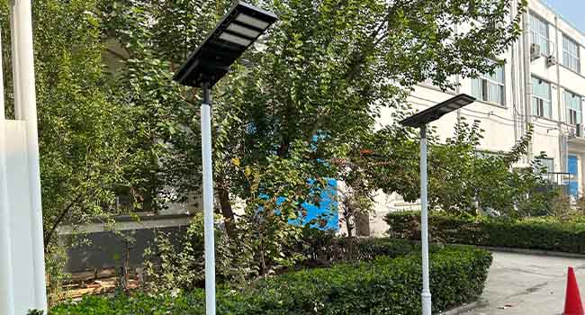 Solar Street Lights